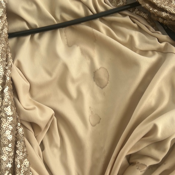 Sorella Vita champagne dress. - Picture 8 of 8